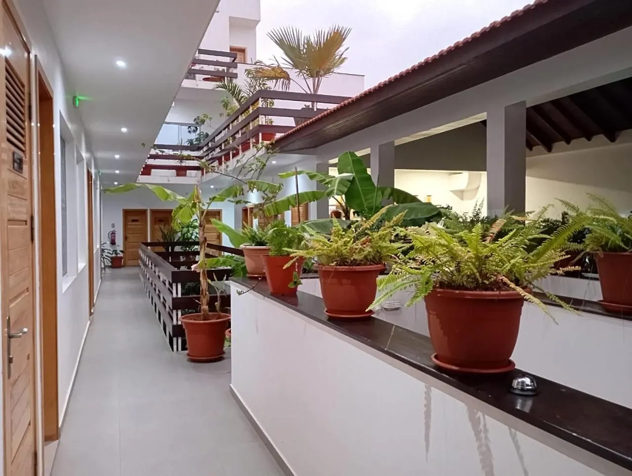 טאראפל Hotel Viajante